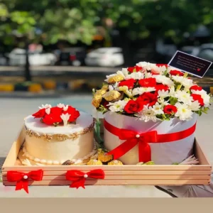 Multi Color Gift Box With Cake