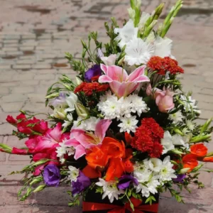 The Vivid Expression Box